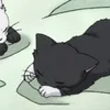 feng_guin