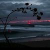 emir_9575