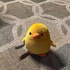 nazla_0290