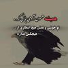 shirin.samani