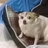 ken_2638