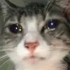emmeububu
