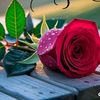 user9333109199573
