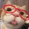 yan_1682