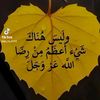user7327950281197
