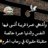 user74387788384156