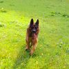 lutz.franke4