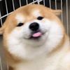 reyyydfbry