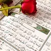 user8321046184692