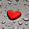 malik.haroon787