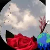 user2819588012446