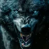crazywolf355