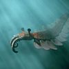 anomalocaris34