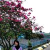 usrnmhilang