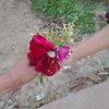 akhi.moni972
