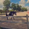 eq_dorociuksss