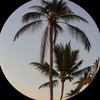 rr_ra17