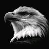 ahmed777r7