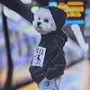 subru_stairz