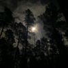 kxr_507
