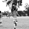 santirodd8