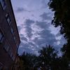 lena_8244
