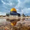 abu.amir.5