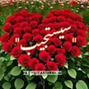 fidea_mouh