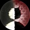 tonooze