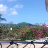 antivangagcommunity46
