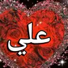 hussam8655