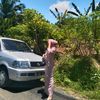 srilestarii1006