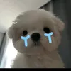 tinngha69