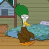 ultimate_peter