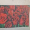 user077618114