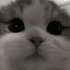 want_money4