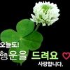 user22627981739732