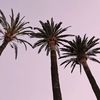 _hananabanana11