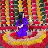 nguyenthingochanh8686