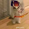 jametft