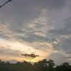 septi_030907