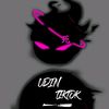 udin140