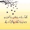 zayyan.khan919