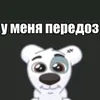 zdow21