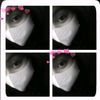 cino_c1nnn