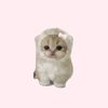 haruto_l0ove