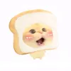 ng_huu_huy