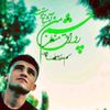 halimmohammadi8