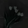 tvy29_