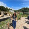 shintarose__